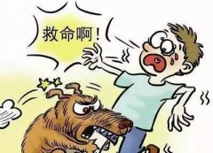 如遇惡犬咬人該怎么辦？這些知識(shí)也許能救命！