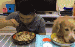 如果你家也有只吃貨狗狗，這點(diǎn)一定要注意！