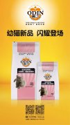 奧丁精品幼貓糧閃耀登場！??！