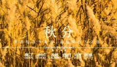 秋分丨晝夜分畫，漸入秋華