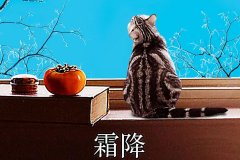 霜降丨縱然霜華盡染，心中美好如初