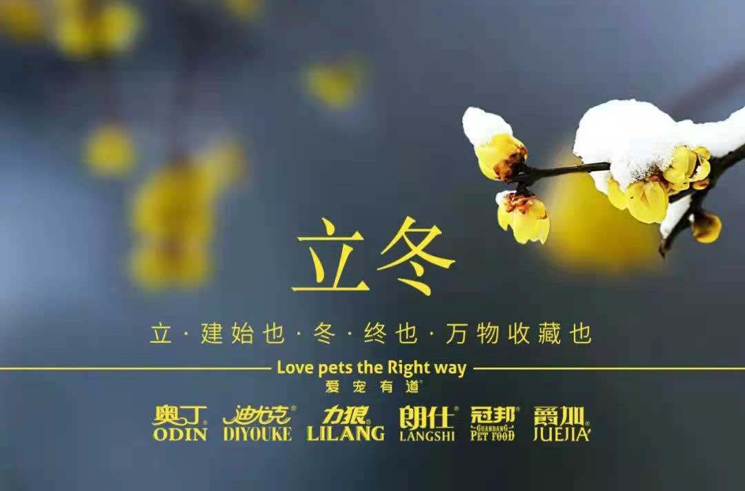 立冬丨冬寒初始，情暖愈濃
