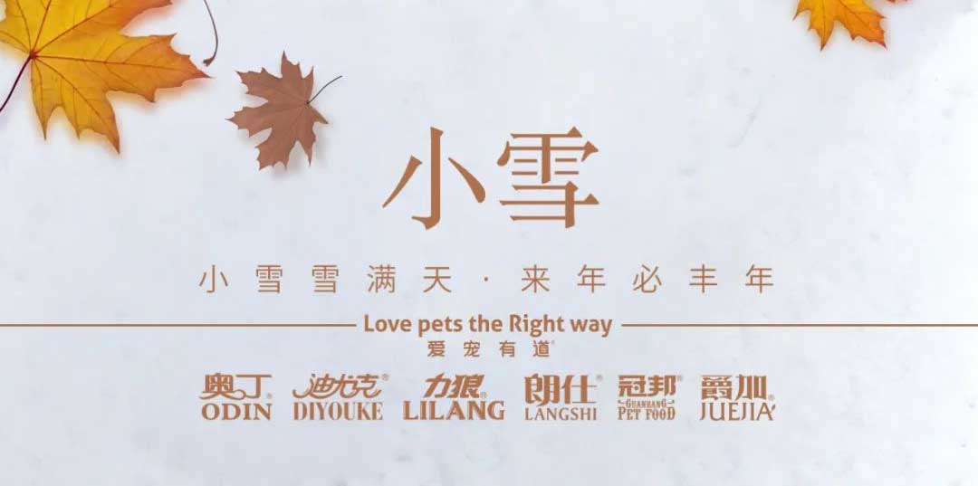 小雪丨天地初寒，歲月安暖